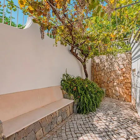 Nespereira - Escapadinha Com Piscina Aquecivel E Bbq - Villa